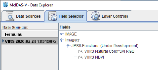 Field Selector tab of the Data Explorer
